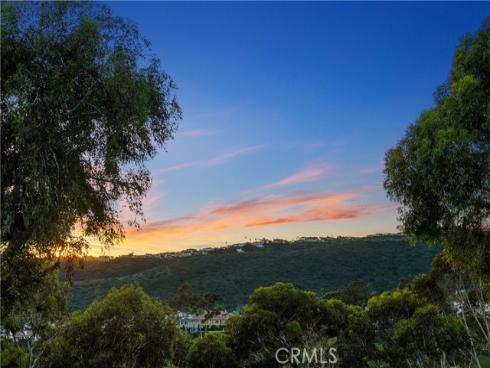 51  Hancock  , Laguna Niguel, CA