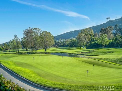 31496 W Nine  , Laguna Niguel, CA