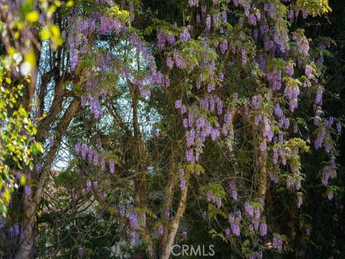 1  Sand Oaks  , Laguna Niguel, CA