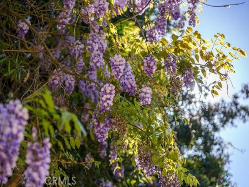 1  Sand Oaks  , Laguna Niguel, CA