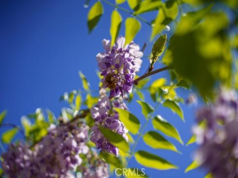 1  Sand Oaks  , Laguna Niguel, CA