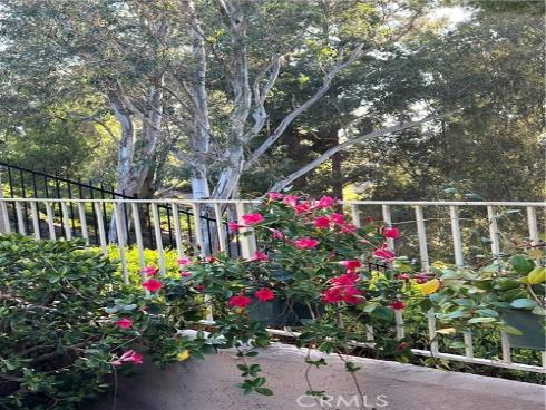 24291  Toponas   Court, Laguna Niguel, CA