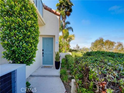 133 Fleurance Street , Laguna Niguel, CA