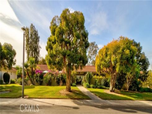 3253  San Amadeo  P , Laguna Woods, CA