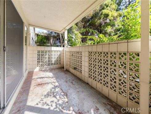 163  avenida Majorca #b  B , Laguna Woods, CA