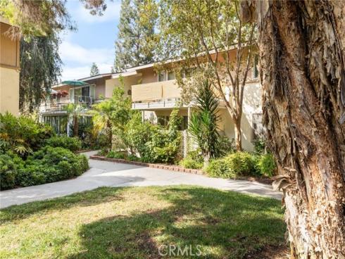 163  avenida Majorca #b  B , Laguna Woods, CA