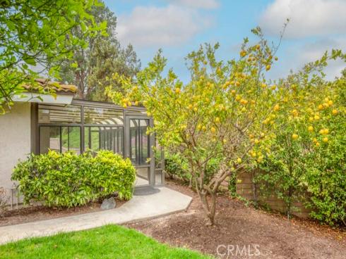 5315 Cantante , Laguna Woods, CA