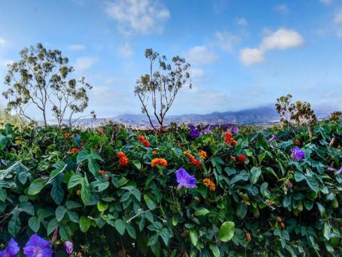 3127 Via Serena #B , Laguna Woods, CA