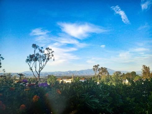 3127 Via Serena #B , Laguna Woods, CA