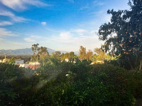 3127  Via Serena  #B , Laguna Woods, CA