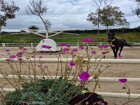 294  Avenida Sevilla  C , Laguna Woods, CA