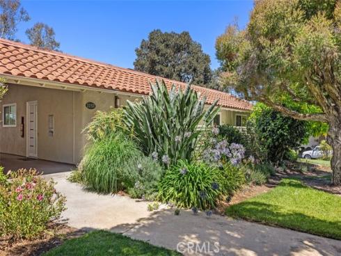 3253  San Amadeo  P , Laguna Woods, CA
