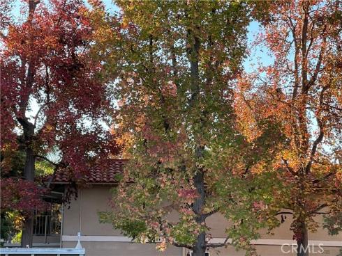 662 Via Los Altos P , Laguna Woods, CA