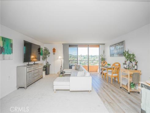 24055 Paseo Del Lago 1106