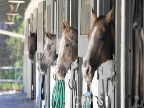 936  Avenida Majorca  B , Laguna Woods, CA