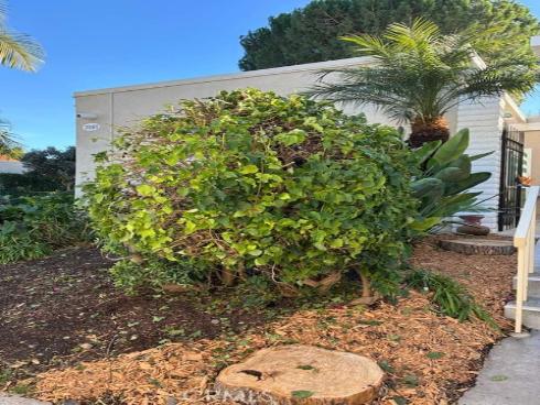 2091 Ronda Granada D , Laguna Woods, CA