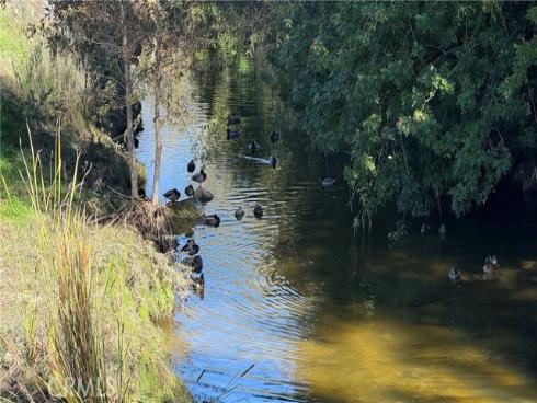 898  Ronda Sevilla  N , Laguna Woods, CA