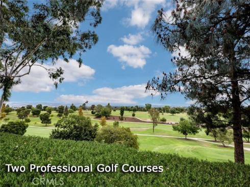 898  Ronda Sevilla  N , Laguna Woods, CA