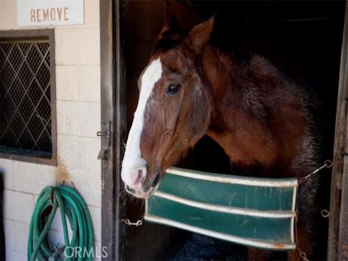 644  Avenida Sevilla  Q , Laguna Woods, CA