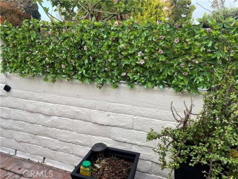 947  Avenida Carmel  F , Laguna Woods, CA