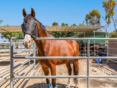 700  Avenida Sevilla  Q , Laguna Woods, CA