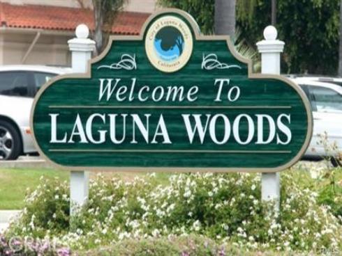 3300  Via Carrizo  D , Laguna Woods, CA