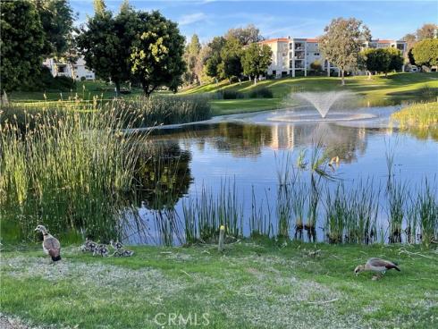 3088 N Via Serena # C  , Laguna Woods, CA
