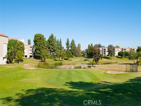 3253  San Amadeo  P , Laguna Woods, CA