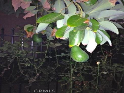 5384 W Paseo Del Lago A , Laguna Woods, CA