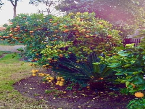 5384 W Paseo Del Lago A , Laguna Woods, CA