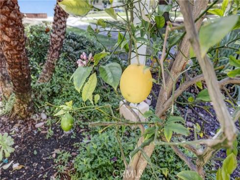 49  Calle Aragon  B , Laguna Woods, CA