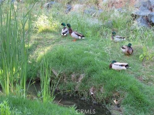 859  Ronda Mendoza  D , Laguna Woods, CA