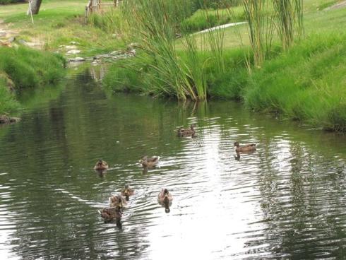 859  Ronda Mendoza  D , Laguna Woods, CA