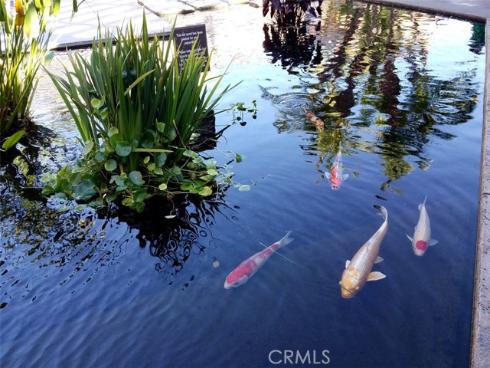 859  Ronda Mendoza  D , Laguna Woods, CA