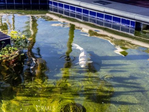 2313  Via Puerta  Q , Laguna Woods, CA