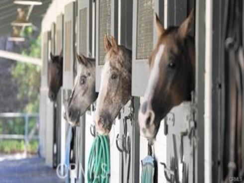 506  Avenida Sevilla  B , Laguna Woods, CA