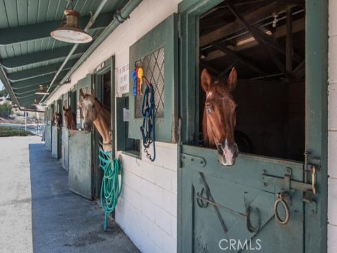 3268  San Amadeo  A , Laguna Woods, CA