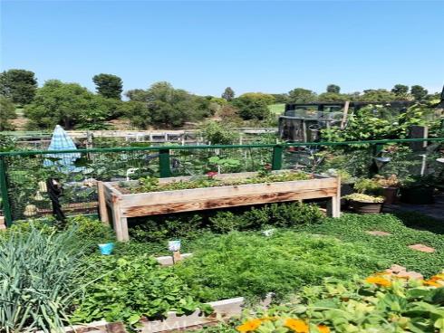 3294  San Amadeo  B , Laguna Woods, CA