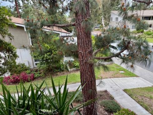 367  Avenida Castilla  N , Laguna Woods, CA