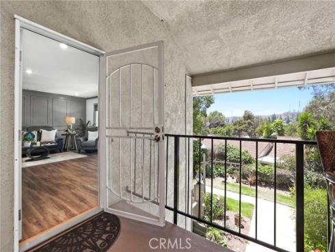 3253 San Amadeo N , Laguna Woods, CA