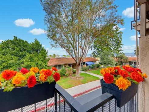 3123 N Via Serena  C , Laguna Woods, CA