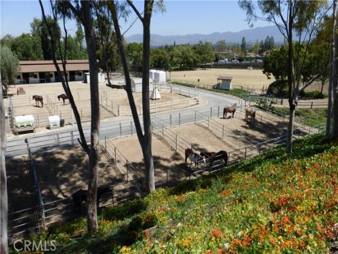 3242 San Amadeo 3F , Laguna Woods, CA