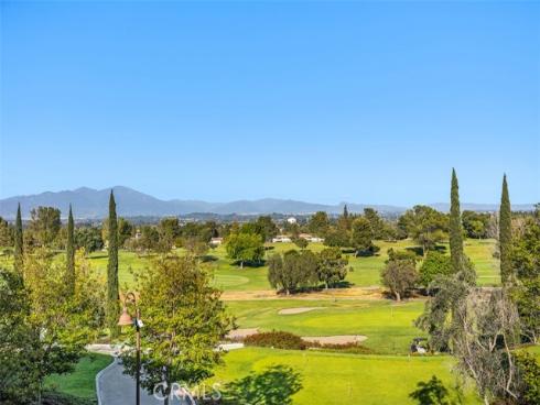 808 Ronda Mendoza P , Laguna Woods, CA