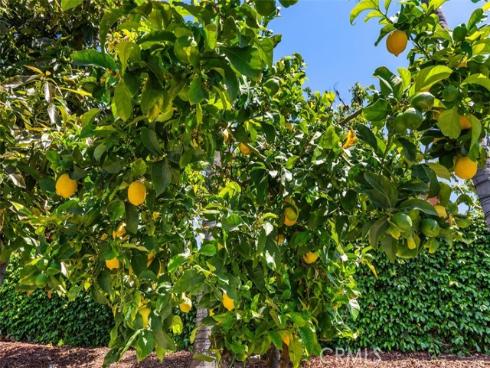 21592 Via Lobo , Lake Forest, CA