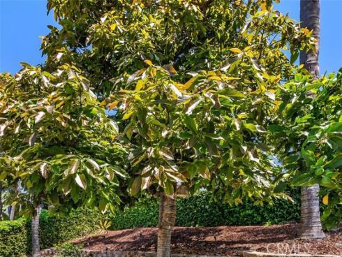 21592 Via Lobo , Lake Forest, CA