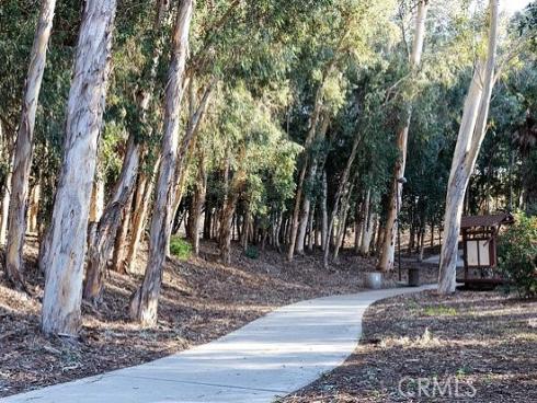 22602 Manalastas Drive, Lake Forest, CA