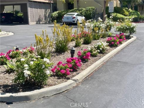 21203 Camelia 34 , Lake Forest, CA