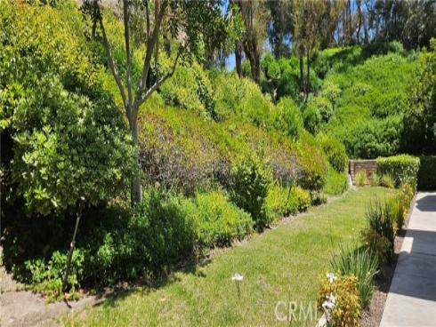 21218 Camelia 49 , Lake Forest, CA