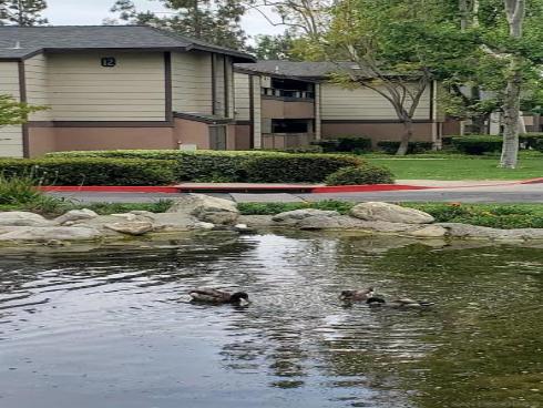 20702 El Toro Rd 318 , Lake Forest, CA