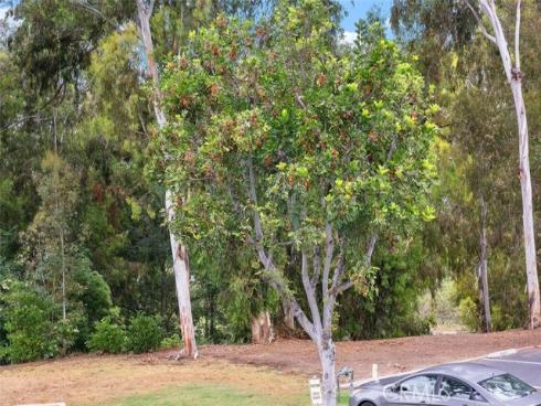 24462 Copper Cliff 20 Court, Lake Forest, CA